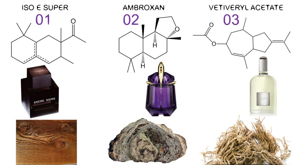 Partial Anosmia, Olfactory Adaptation or Why I Do Not Smell