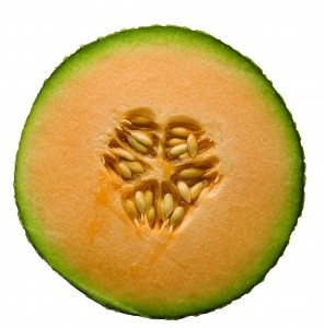 Cantaloupe, cross-section