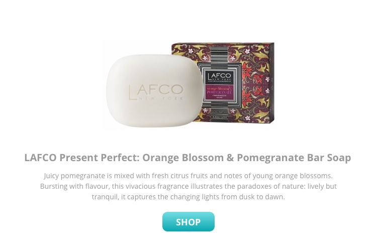 oranfe blossom pomegranate